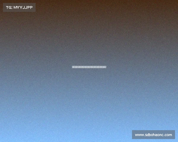 本田赛事辉煌征程速度激情与科技创新铸就赛道传奇